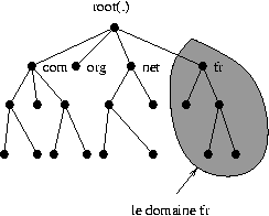 La structure du DNS
